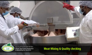 Meat Mixing & Quality Checking